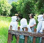 Stages de formation en apiculture au rucher école de la loire
